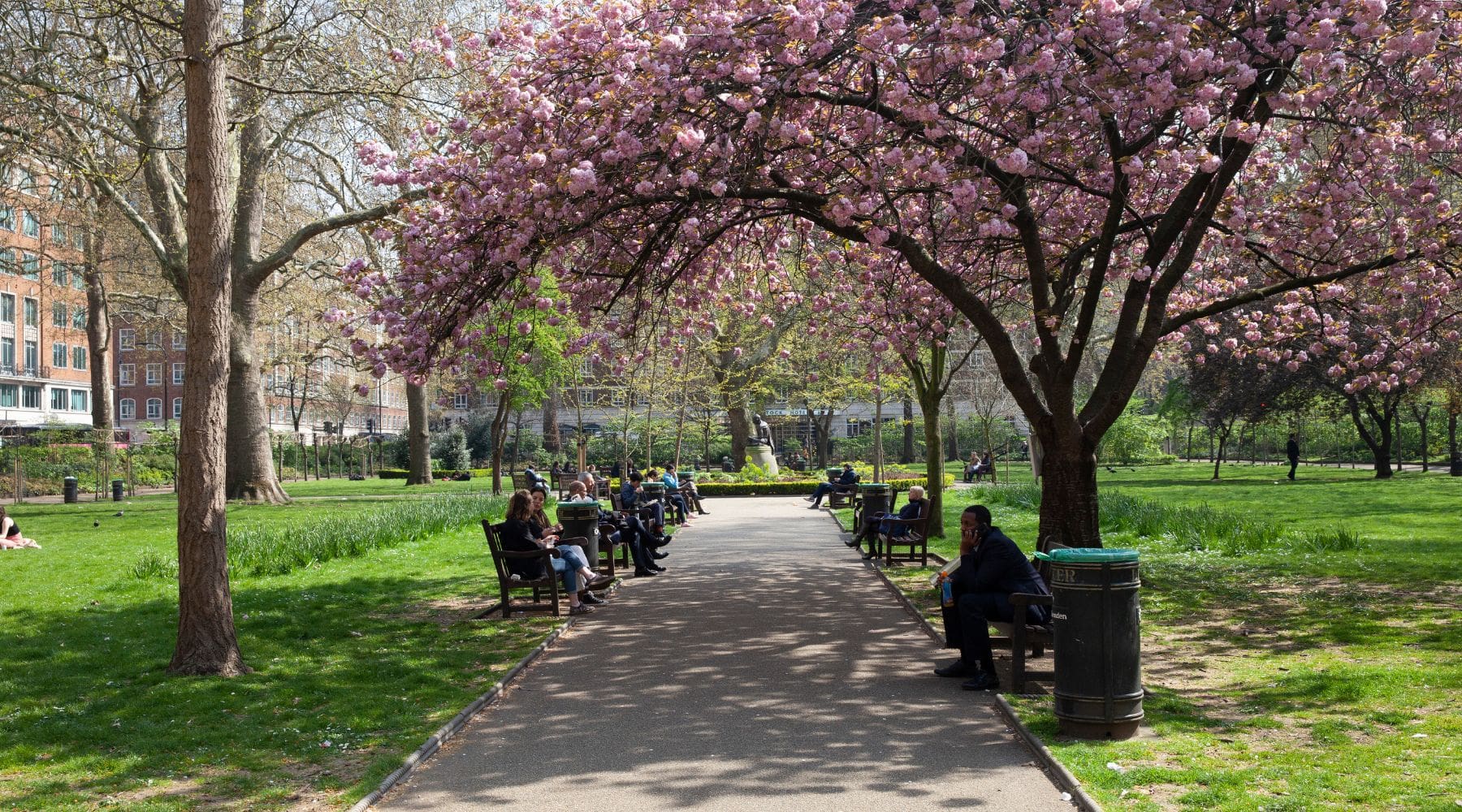 Visitors sit on benches under cherry blossoms at Tavistock Square Gardens
