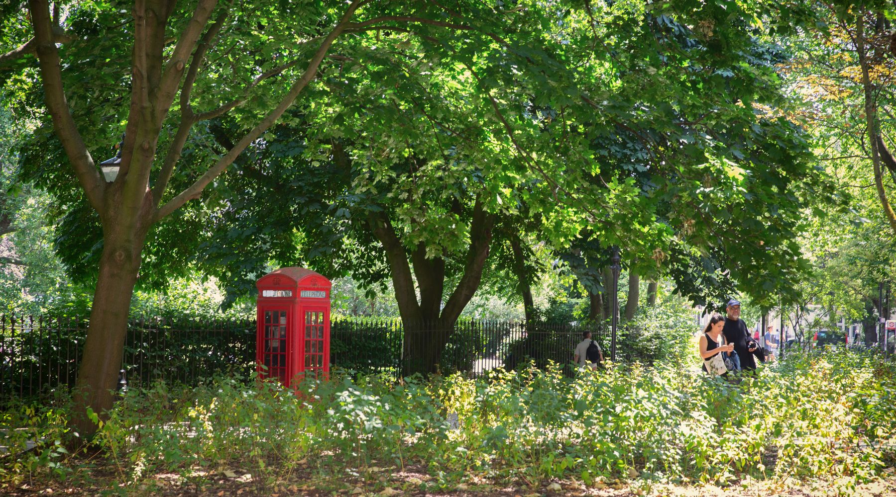 Red telephone box tucked among trees in a leafy Bloomsbury park, with people walking along a sunlit path.