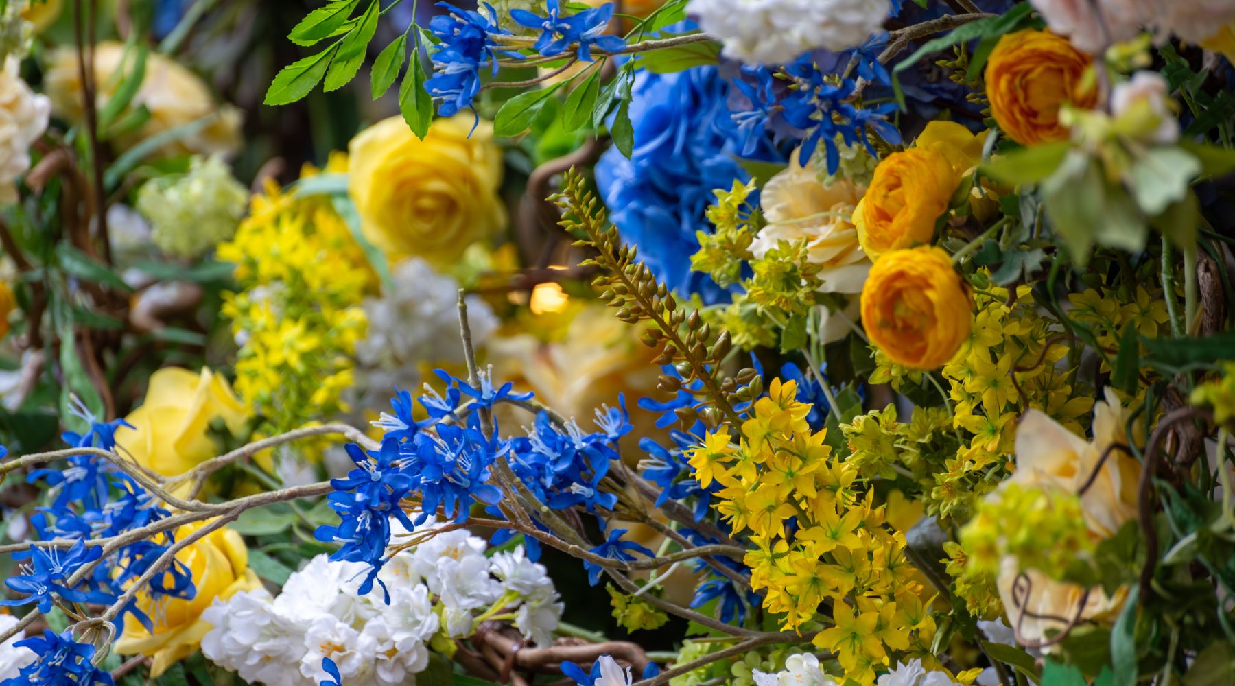 Zoomed in shot of yellow, white and blue flowers
