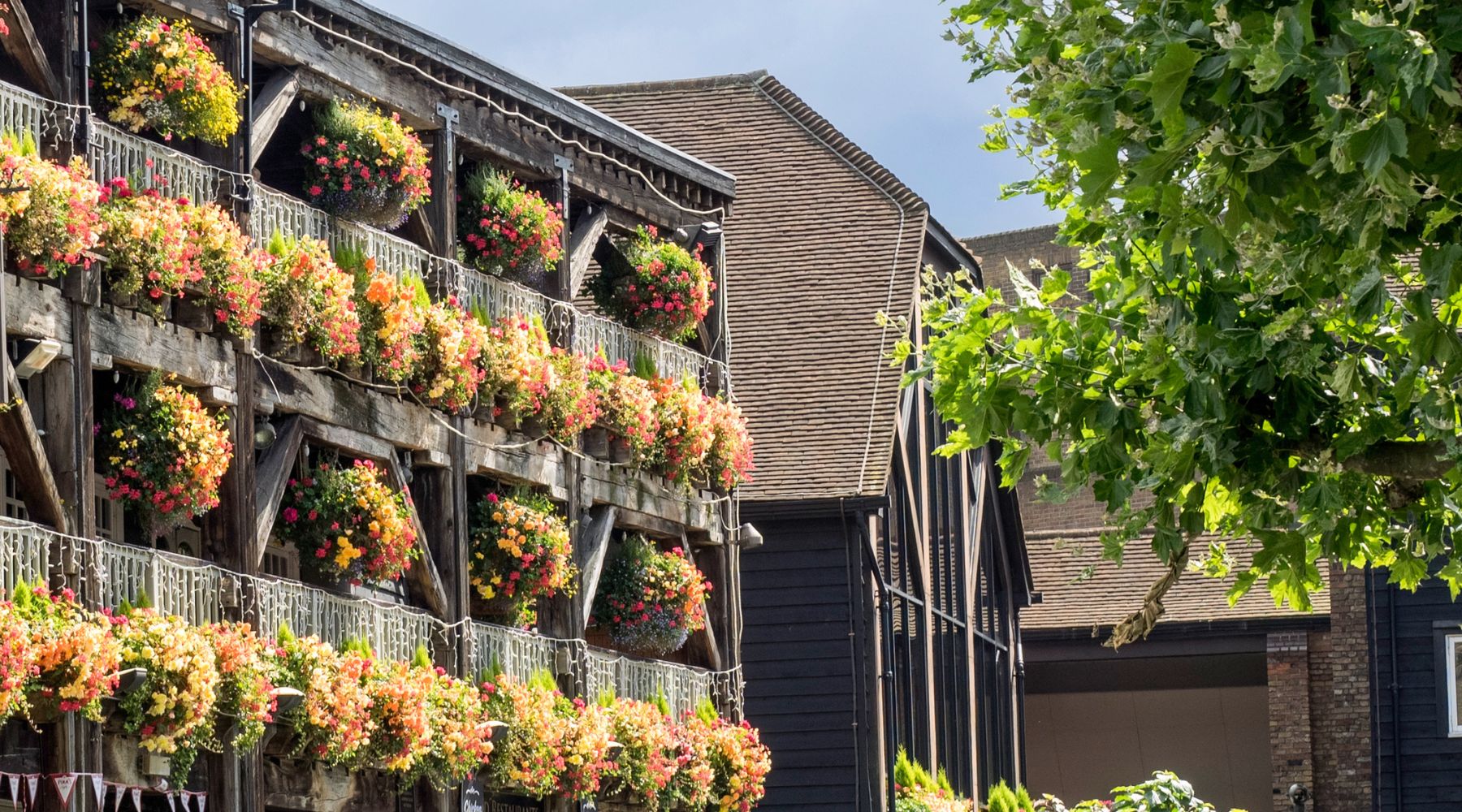 Floral decor on a building in the sun.