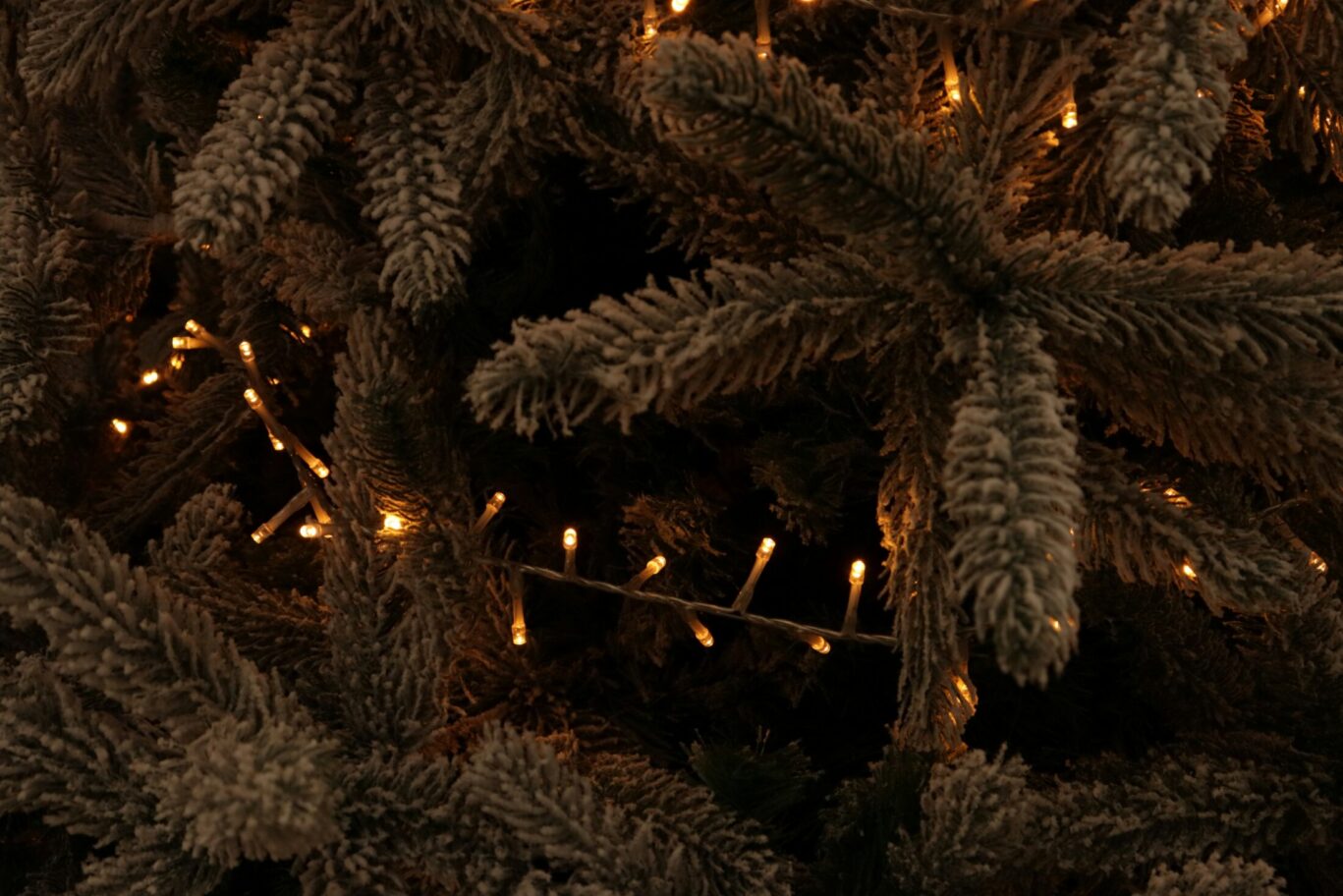 The Tree and the Trimmings